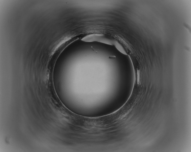 X0000092100723200709121544