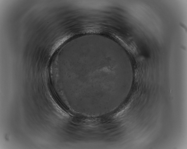 X0000092100725200709121544