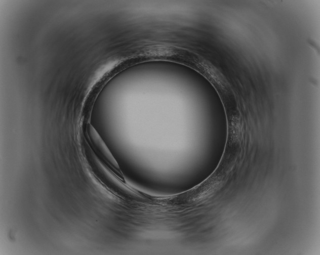 X0000092100726200709121544