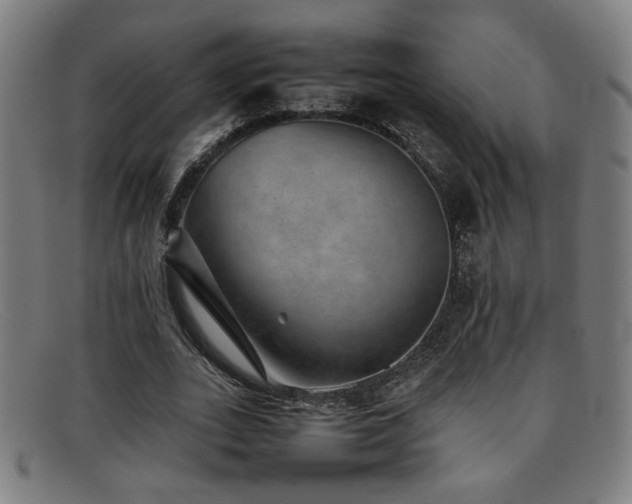 X0000092100727200709121544