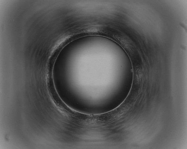 X0000092100728200709121544