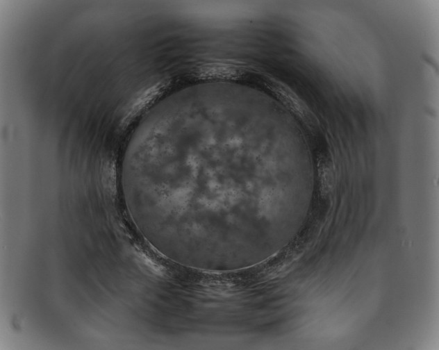 X0000092100729200709121544