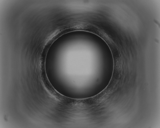X0000092100730200709121544