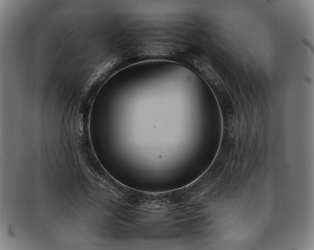 X0000092100731200709121544