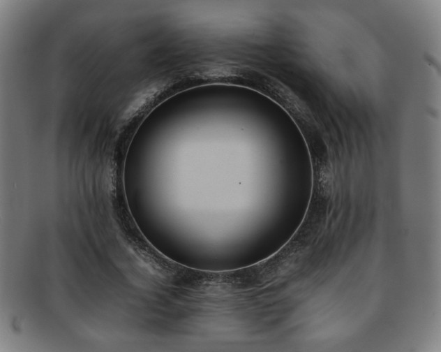 X0000092100732200709121544