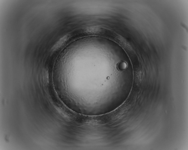 X0000092100734200709121544