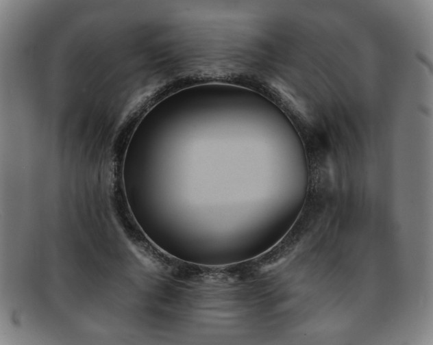 X0000092100736200709121544