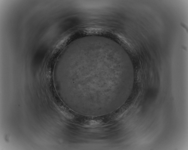 X0000092100737200709121544