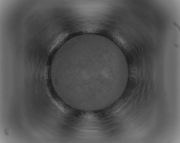 X0000092100738200709121544