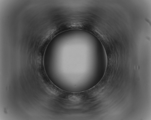 X0000092100739200709121544