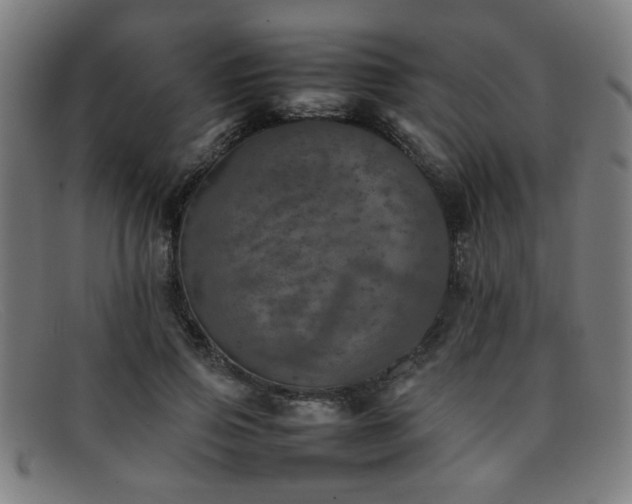 X0000092100741200709121544