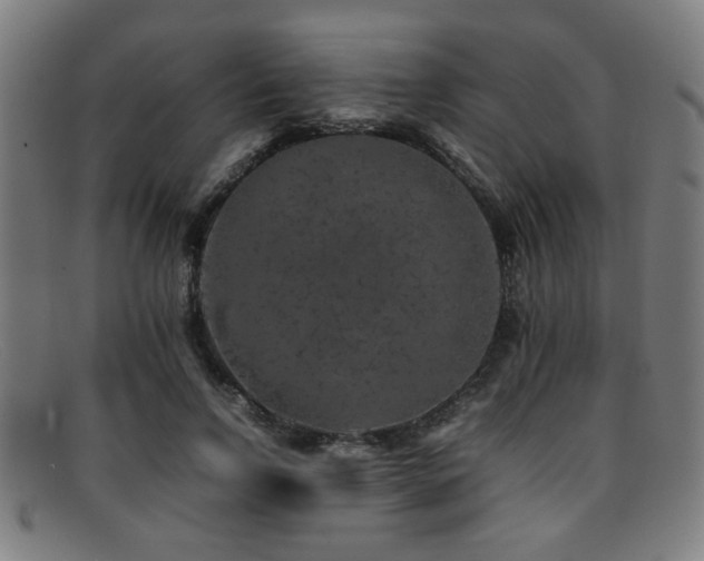 X0000092100742200709121544