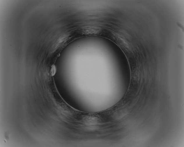 X0000092100743200709121544