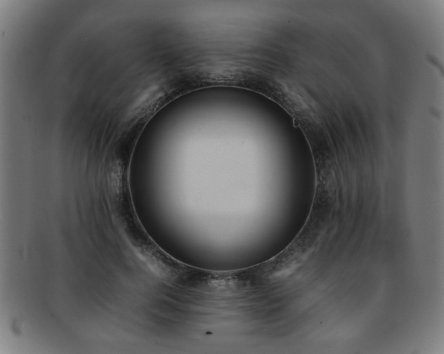 X0000092100744200709121544
