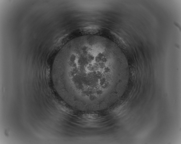 X0000092100745200709121544