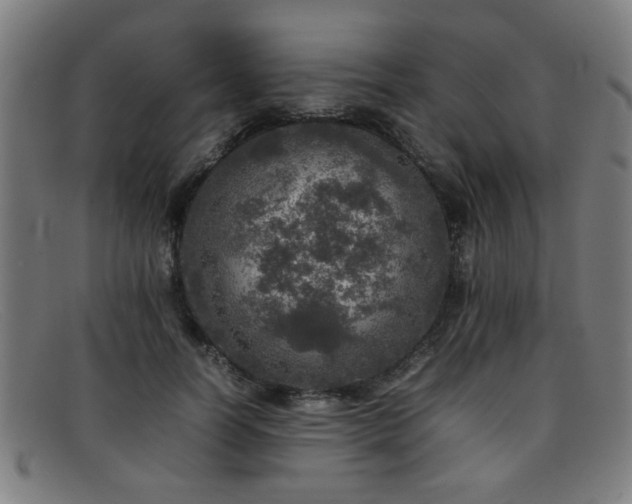 X0000092100746200709121544