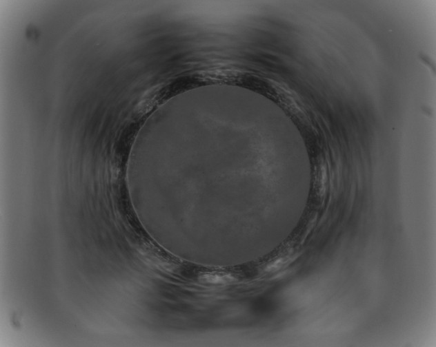 X0000092100749200709121544