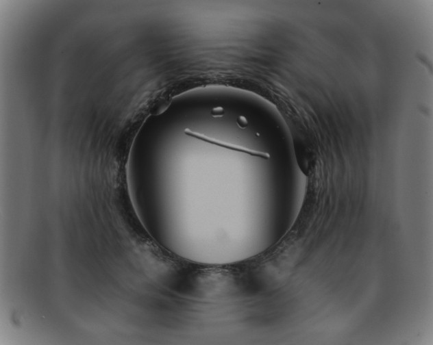 X0000092100750200709121544
