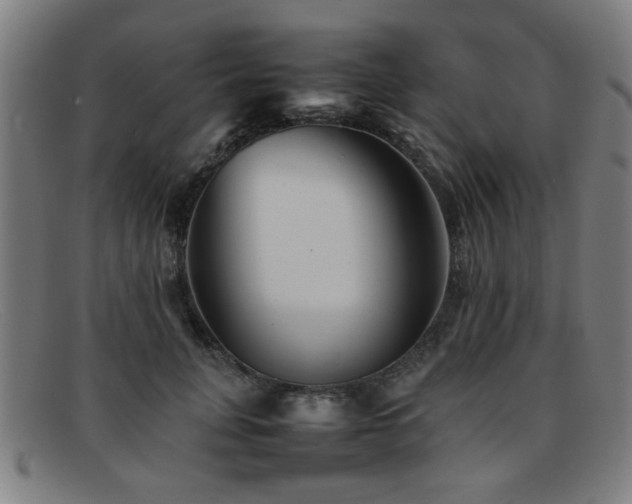 X0000092100751200709121544