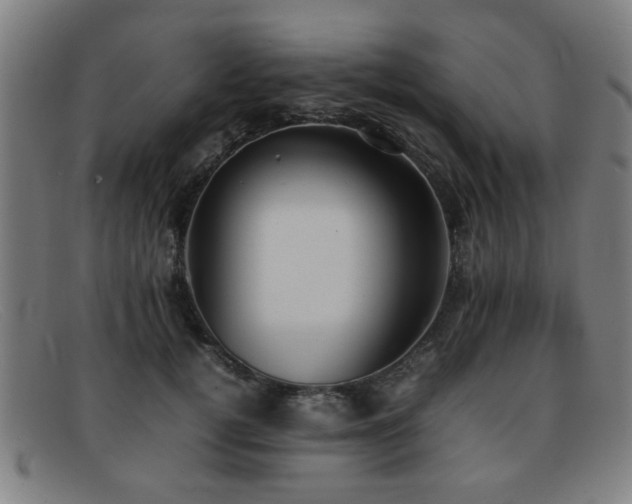 X0000092100752200709121544