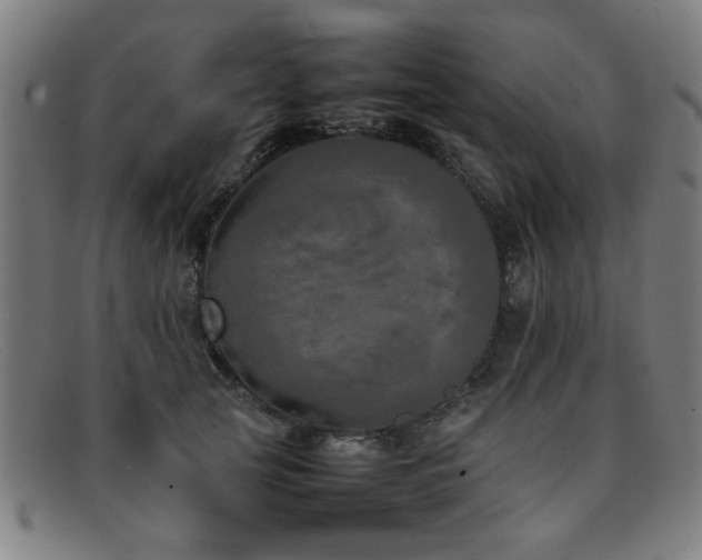 X0000092100753200709121544
