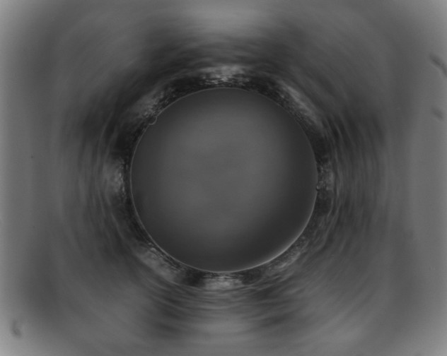 X0000092100754200709121544