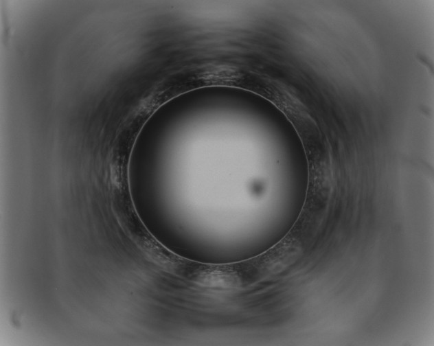 X0000092100755200709121544
