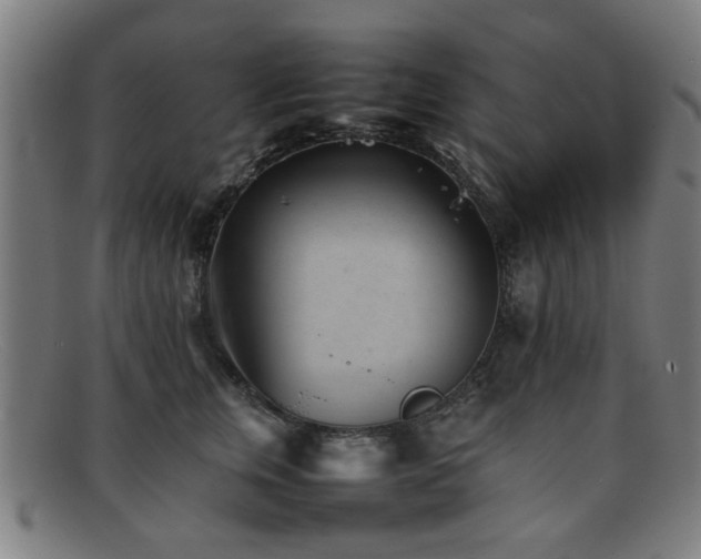 X0000092100759200709121544