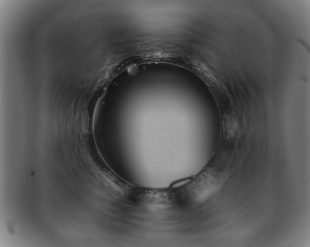 X0000092100760200709121544