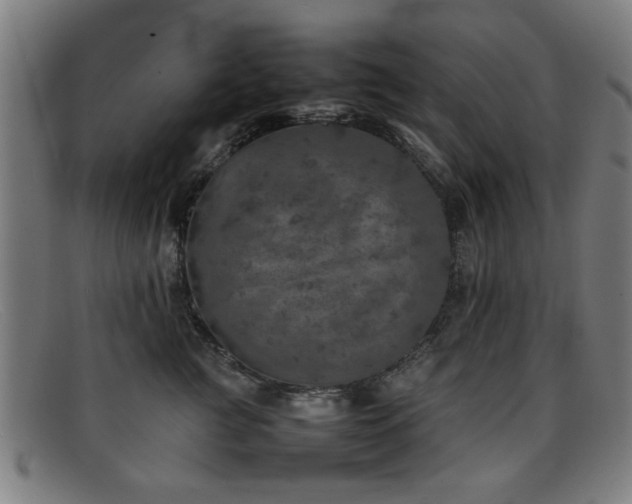 X0000092100761200709121544