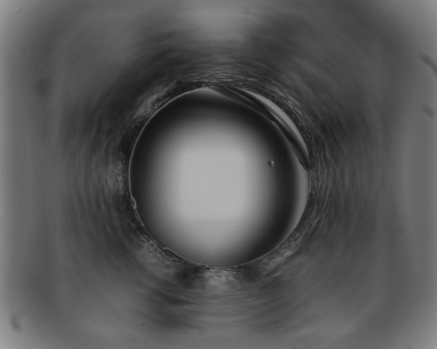 X0000092100762200709121544