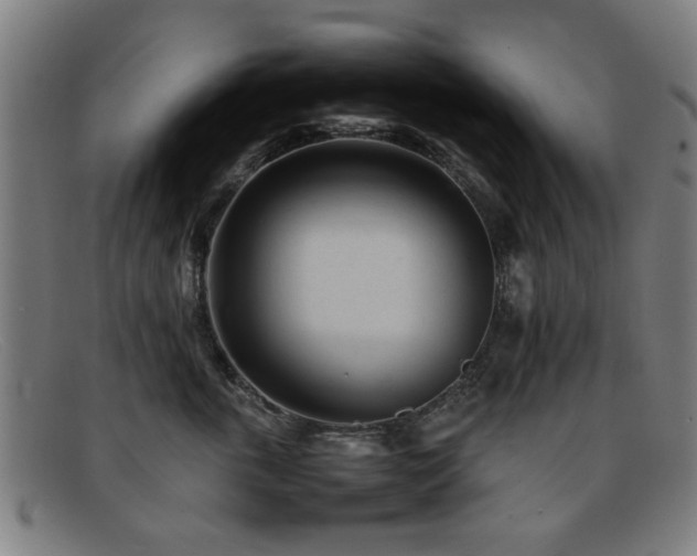 X0000092100763200709121544