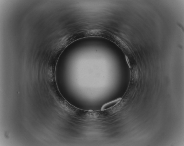 X0000092100764200709121544