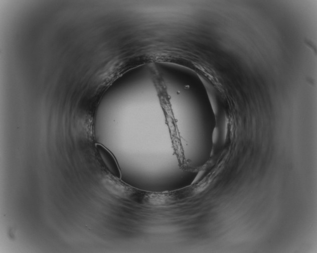 X0000092100766200709121544