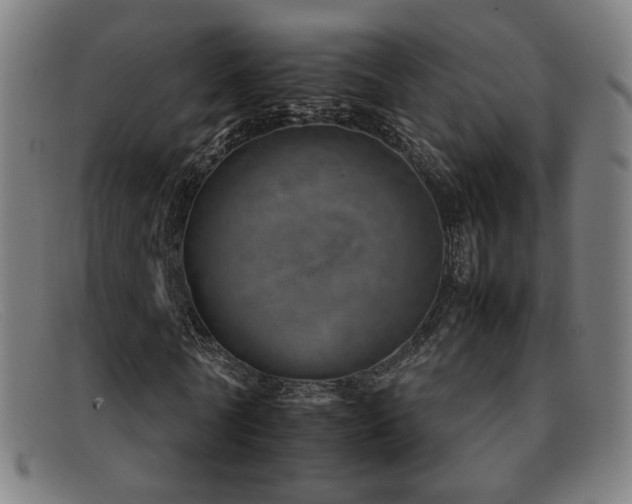 X0000092100770200709121544