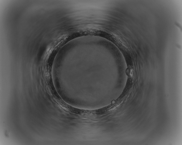 X0000092100771200709121544