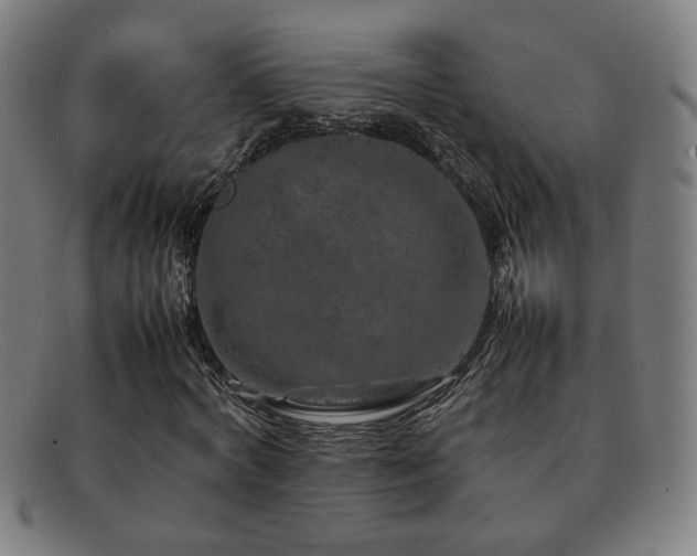 X0000092100772200709121544