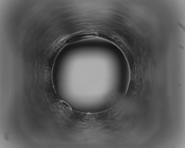 X0000092100773200709121544