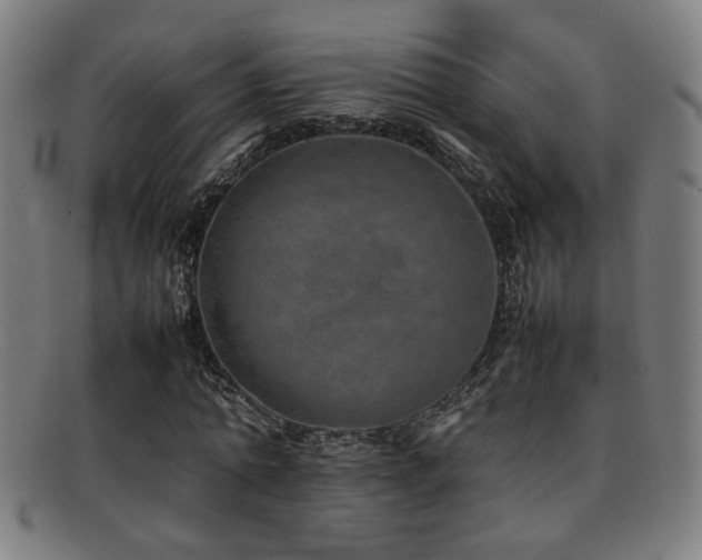 X0000092100774200709121544