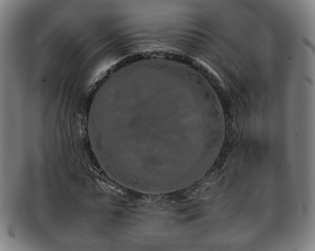 X0000092100775200709121544