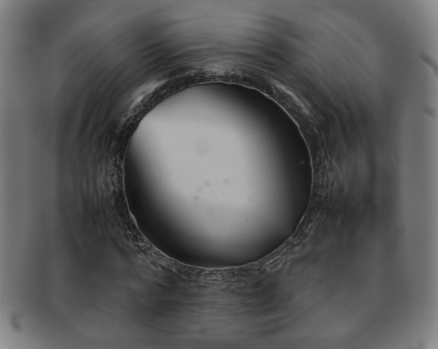 X0000092100776200709121543