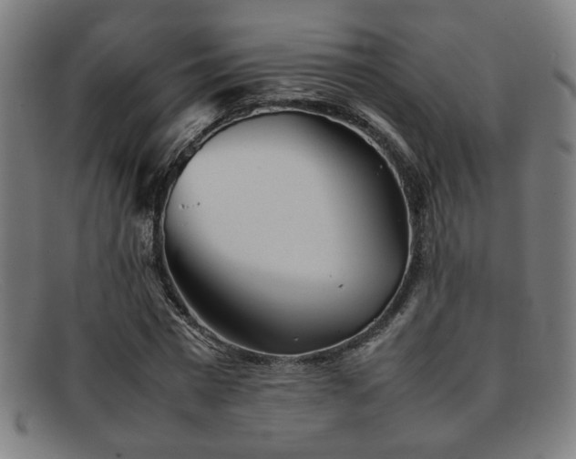 X0000092100777200709121543