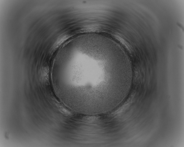 X0000092100778200709121543