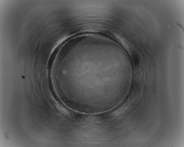 X0000092100779200709121543