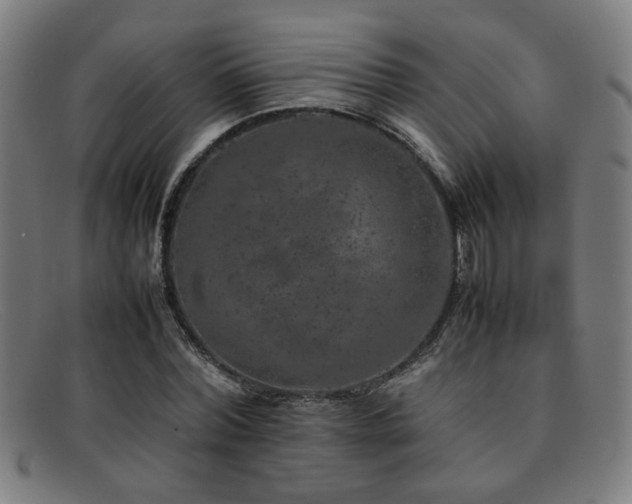 X0000092100780200709121543
