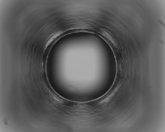 X0000092100781200709121543