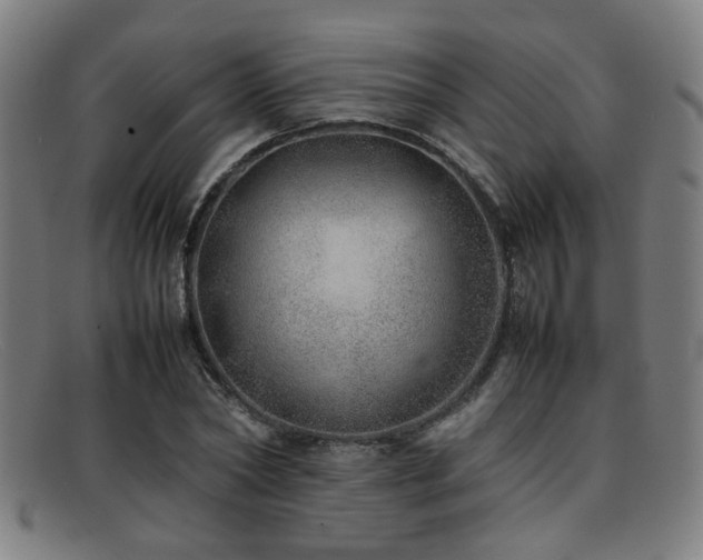 X0000092100782200709121543
