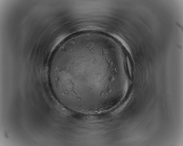 X0000092100783200709121543