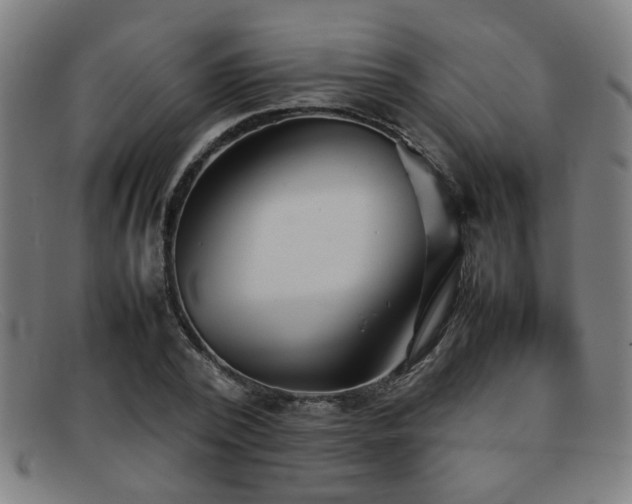 X0000092100784200709121543