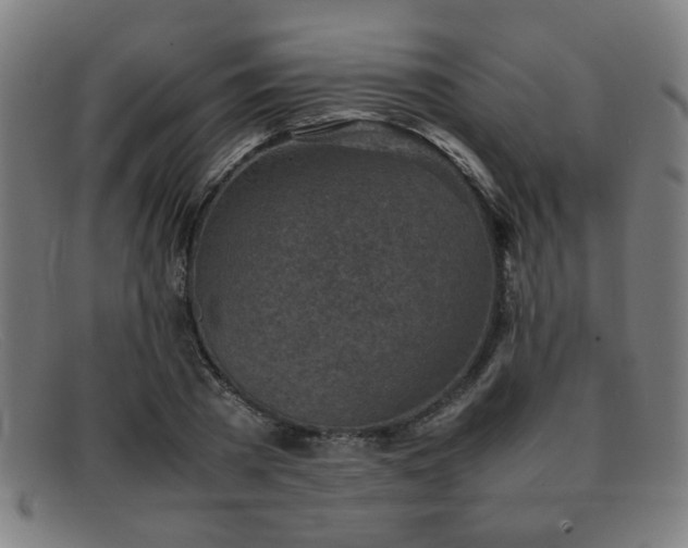 X0000092100785200709121543